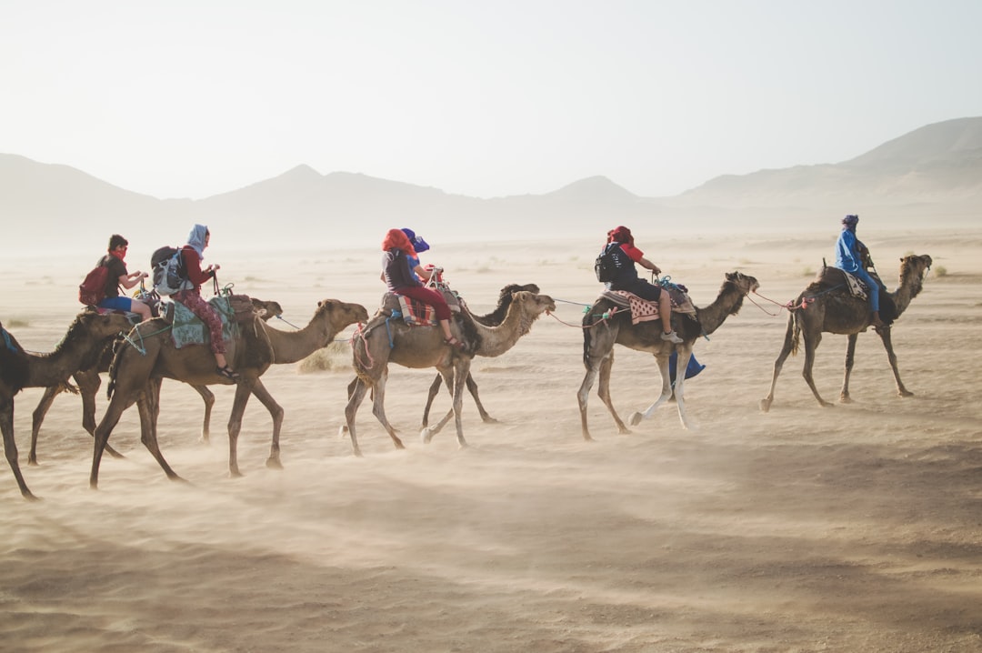 Rediscovering the Great Outdoors: Your Guide to Affordable Adventure Travel
